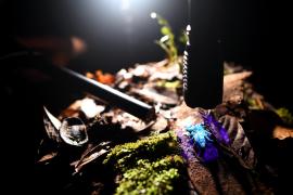 shooting_de_brotheas_granulatus.jpg