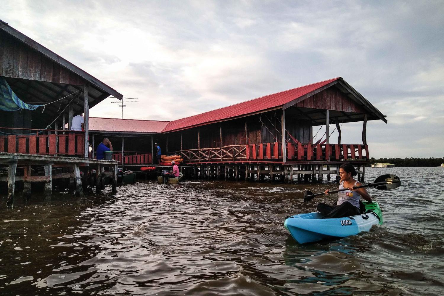 renforesap_-_bigipan_niew_nickerie_suriname_18-22nov2019_c_thibault_foch_onf_-42.jpg